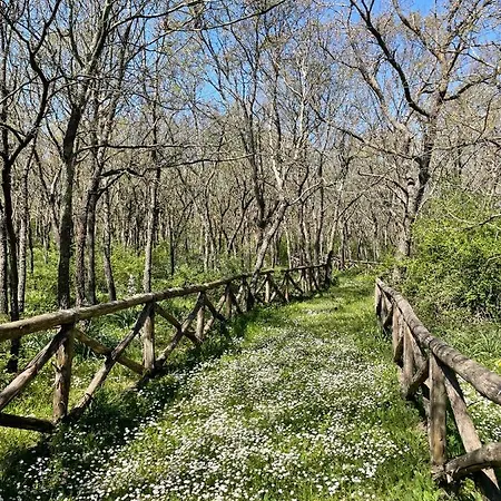 Masseria La Mandra Bauernhof *