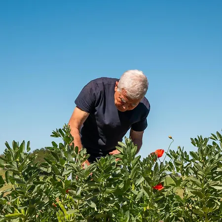 Masseria La Mandra Gospodarstwo agroturystyczne *
