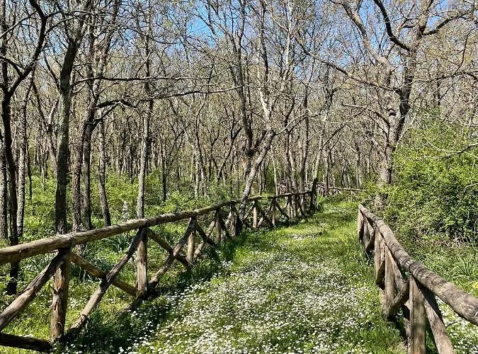 Masseria La Mandra בית חווה *